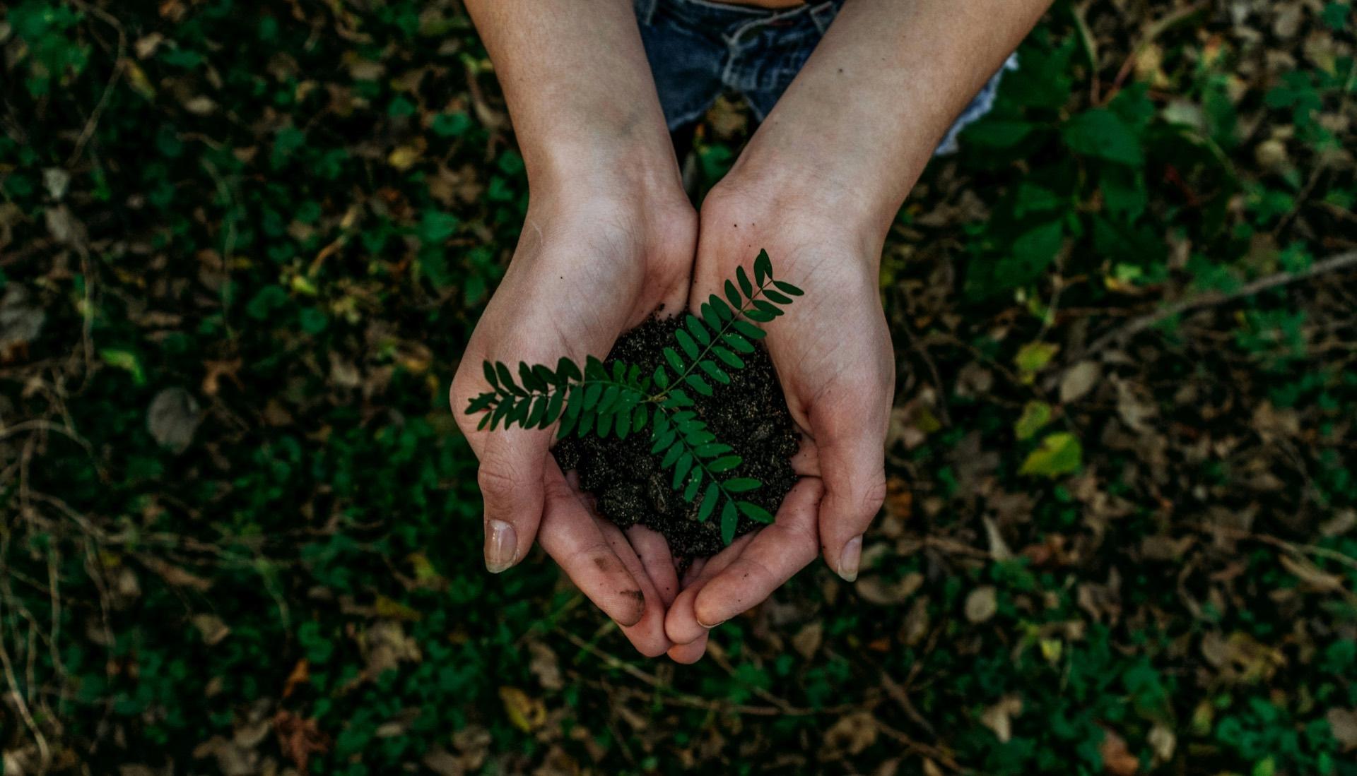 A sustainable future powered by community
